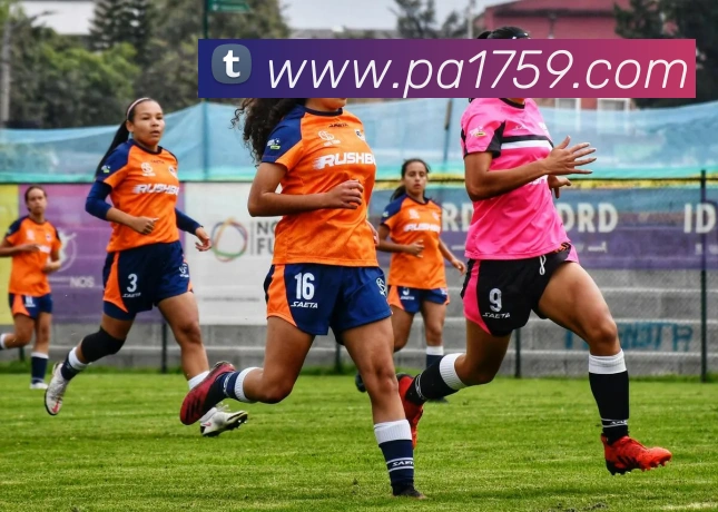 PA视讯平台生态图